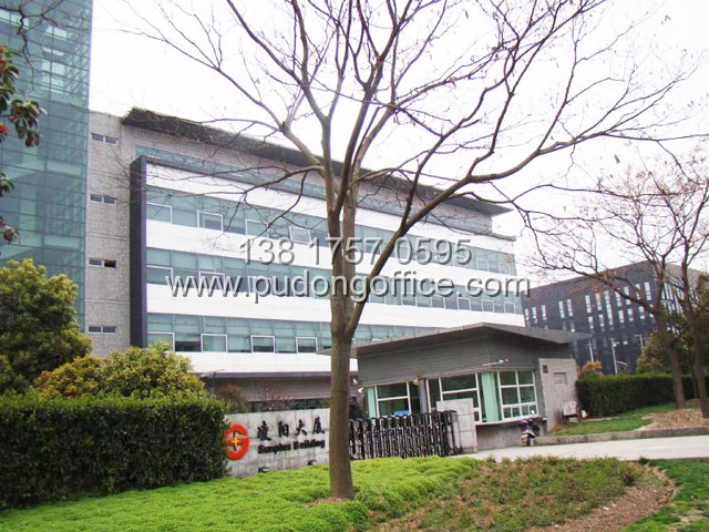 凌阳大厦(张江写字楼)